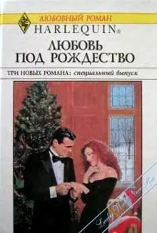 Обложка: Деловая женщина и Дед Мороз