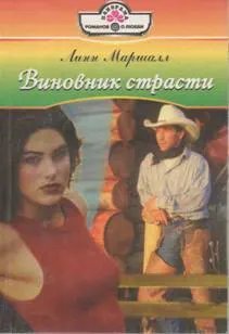 Обложка: Виновник страсти