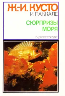 Обложка: Сюрпризы моря
