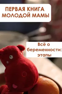Обложка: Всё о беременности: этапы