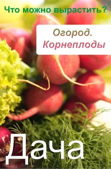 Обложка: Огород. Корнеплоды. Что можно вырастить?