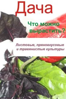Обложка: Что можно вырастить? Листовые, пряновкусовые и травянистые культуры