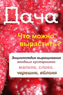Обложка: Что можно вырастить? Энциклопедия выращивания ягодных кустарников: малина, слива, черешня, яблоня