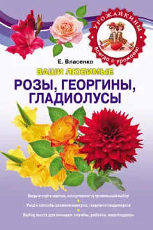 Обложка: Ваши любимые розы, георгины, гладиолусы