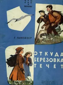 Обложка: Откуда Берёзовка течёт