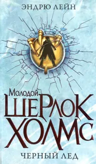 Обложка: Черный лед