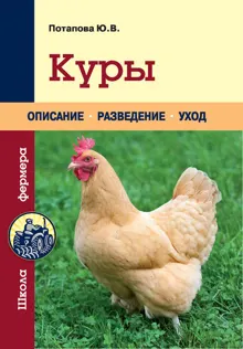 Обложка: Куры