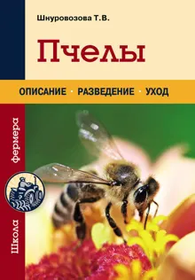 Обложка: Пчелы