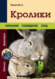 Обложка: Кролики