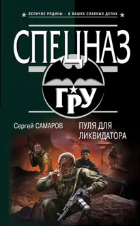 Обложка: Пуля для ликвидатора