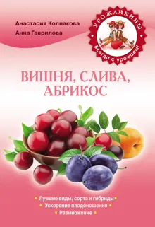 Обложка: Вишня, слива, абрикос