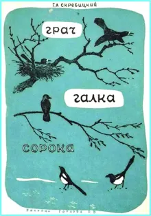Обложка: Грач. Галка. Сорока