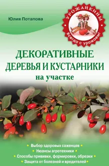 Обложка: Декоративные деревья и кустарники на участке