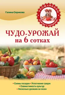 Обложка: Чудо-урожай на 6 сотках