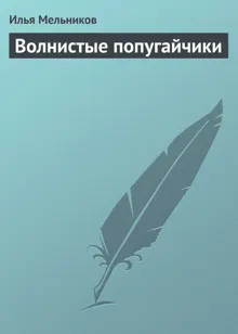 Обложка: Волнистые попугайчики