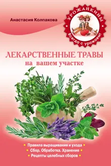 Обложка: Лекарственные травы вашем на участке