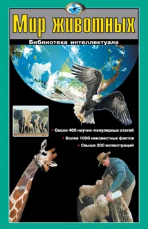 Обложка: Мир животных