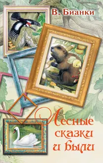 Обложка: Лесные сказки и были