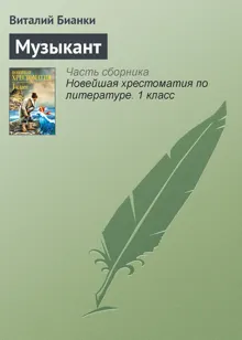 Обложка: Музыкант