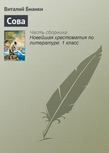 Обложка: Сова