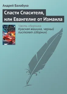 Обложка: Спасти Спасителя, или Евангелие от Измаила