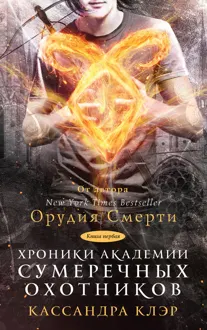 Обложка: Хроники Академии Сумеречных охотников. Книга 1
