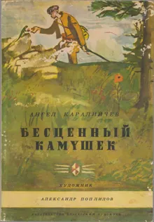 Обложка: Бесценный камушек