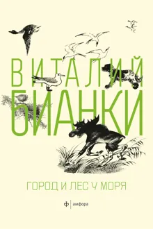 Обложка: Город и лес у моря