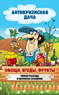 Обложка: Овощи, ягоды, фрукты. Умная рассада и бережное хранение