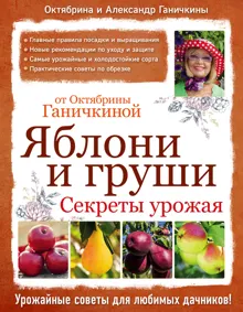 Обложка: Яблони и груши: секреты урожая от Октябрины Ганичкиной