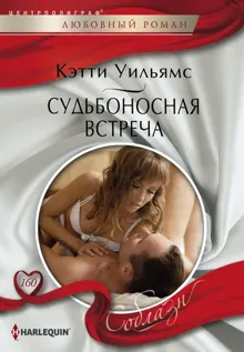 Обложка: Судьбоносная встреча