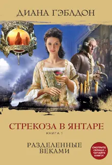 Обложка: Стрекоза в янтаре. Книга 1. Разделенные веками