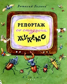 Обложка: Репортаж со стадиона Жукамо