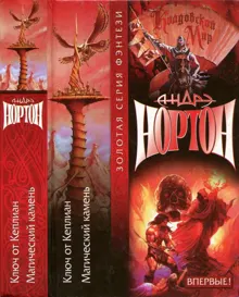 Обложка: Ключ от Кеплиан. Магический камень