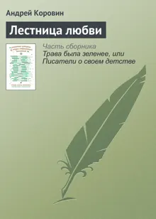 Обложка: Лестница любви