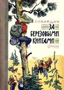 Обложка: За березовыми книгами