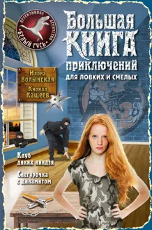 Обложка: Большая книга приключений для ловких и смелых