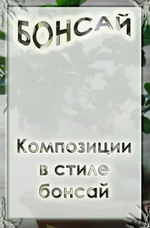 Обложка: Композиции в стиле бонсай