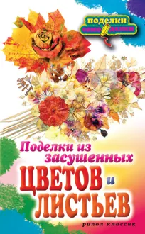 Обложка: Поделки из засушенных цветов и листьев