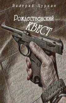 Обложка: Рождественский квест