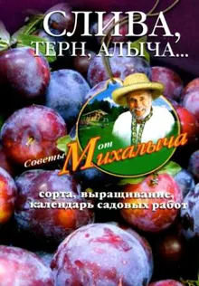Обложка: Слива, терн, алыча… Сорта, выращивание, календарь садовых работ