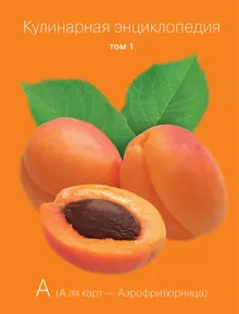 Обложка: Кулинарная энциклопедия. Том 1. А (А ля карт – Аэрофритюрница)