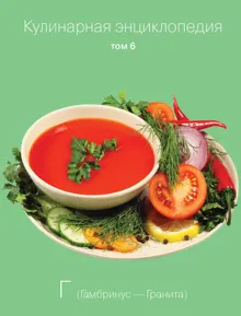Обложка: Кулинарная энциклопедия. Том 6. Г (Гамбринус – Гранита)