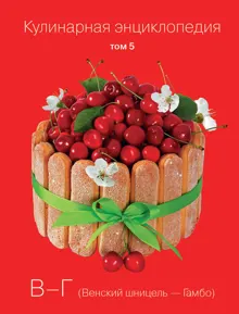 Обложка: Кулинарная энциклопедия. Том 5. В-Г (Венский шницель – Гамбо)