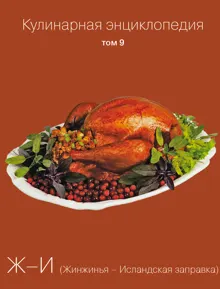 Обложка: Кулинарная энциклопедия. Том 9. Ж-И (Жинжинья – Исландская заправка)