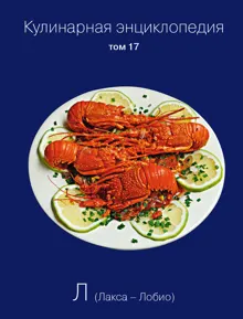 Обложка: Кулинарная энциклопедия. Том 17. Л (Лакса – Лобио)