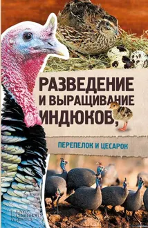 Обложка: Разведение и выращивание индюков, перепелок и цесарок