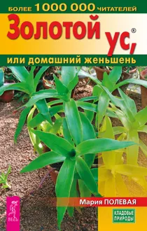 Обложка: Золотой ус, или домашний женьшень
