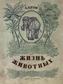 Обложка: Жизнь животных в рассказах и картинках по А. Брэму