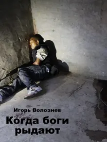 Обложка: Когда боги рыдают (СИ)